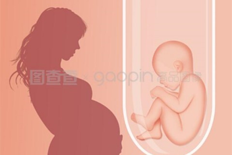 http://www.hy-ly.com/post/208.html|福州人工试管