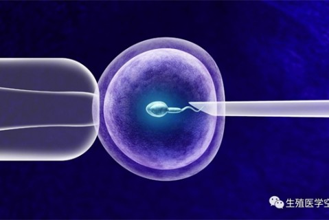 女人福州代生孩子的最佳年龄段 一辈子生几个孩子最好